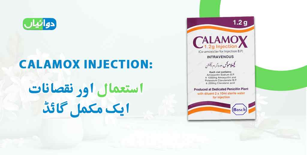 Calamox Injection Uses in Urdu