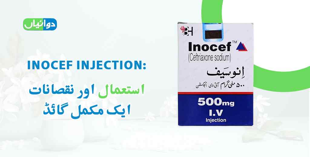 Inocef Injection Uses in Urdu