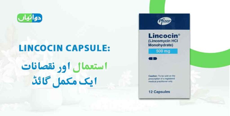 Lincocin Capsule Uses in Urdu