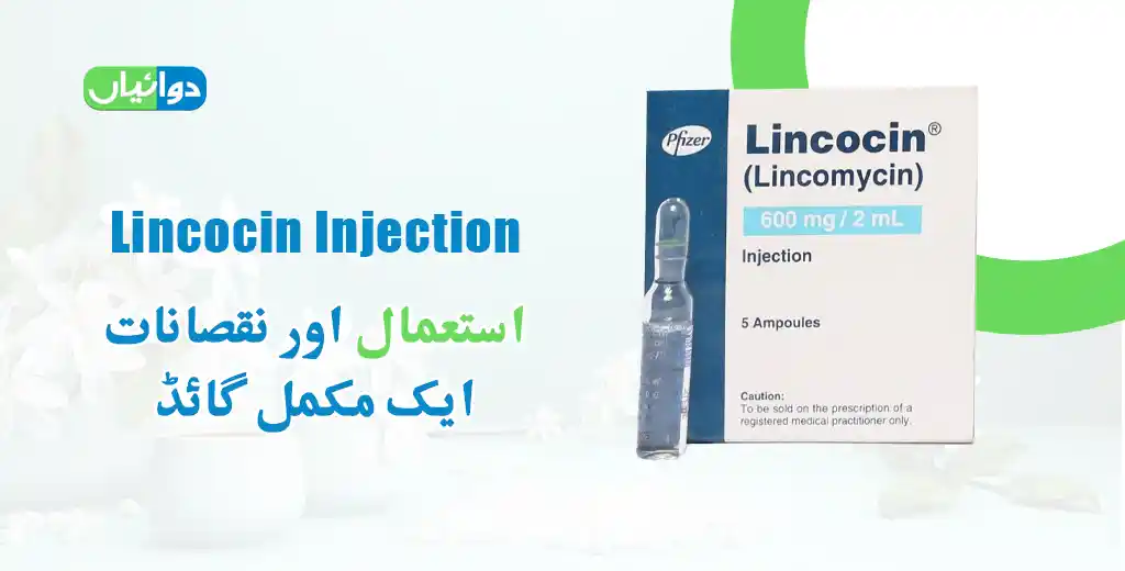 Lincocin Injection Uses in Urdu